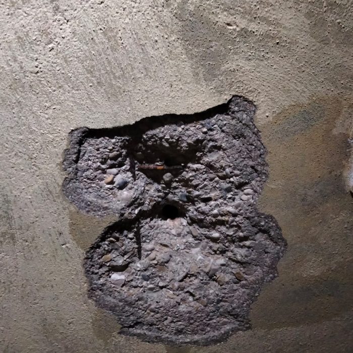 WhatsApp Image 2022-10-05 at 08.53.24