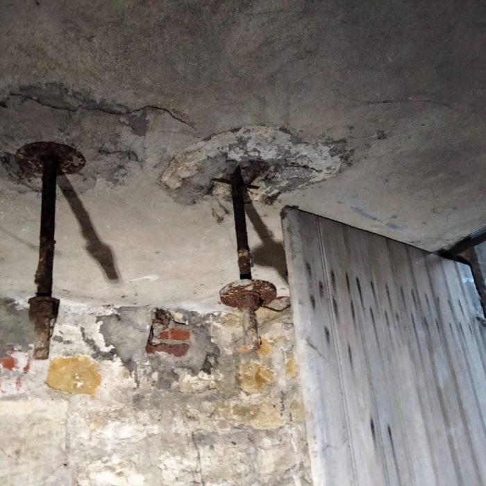 WhatsApp Image 2022-10-05 at 08.53.25 (3)