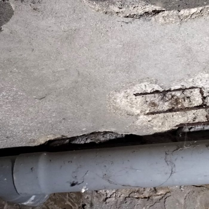 WhatsApp Image 2022-10-05 at 08.53.26 (2)