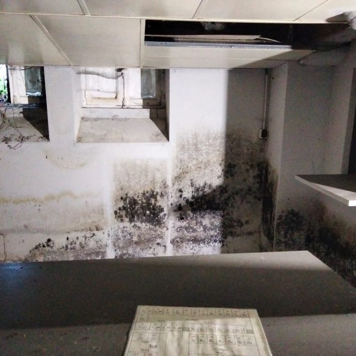 WhatsApp Image 2022-10-05 at 08.53.26