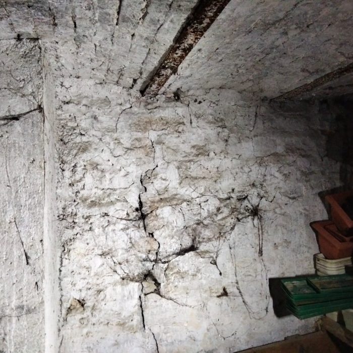 WhatsApp Image 2022-10-05 at 08.53.27 (2)